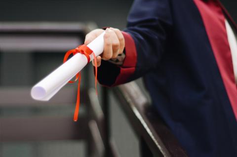 Pergamena laurea